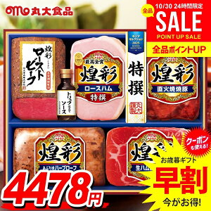 お歳暮 御歳暮 送料無料 早割 ハム ギフト セット ロースハム ローストビーフ 詰め合わせ 詰合せ 丸大食品 丸大ハム 煌彩 歳暮 冬ギフト お歳暮ギフト 食品 食べ物 グルメ お取り寄せグルメ