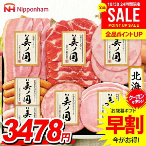 お歳暮 御歳暮 送料無料 早割 ハム ギフト セット ロースハム ウインナー ソーセージ 生ハム 詰め合わせ 詰合せ 日本ハム ニッポンハム 美ノ国 北海道 プレミアム 歳暮 冬ギフト お歳暮ギフ