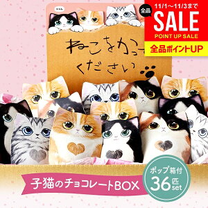 y|bvt 36Zbgz `R v`Mtg xM[ `R[g XC[c Ε Mtg Zbg Ԃ  RtVg L 4  َq lߍ킹  2 z 