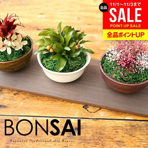 y͂ȂvU~́EpgCtz ~ Ε Mtg a v[g ͂Ȃ~j~3_Zbg vU[uh vU  ۋ ~ a ݂ ȒP {TC C