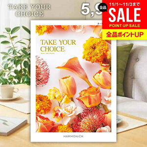 J^OMtg j Ԃ  n[jbN eCNA`CX J[l[V 5900~R[X Ε Mtg  OJ^OMtg oYj j Vzj 