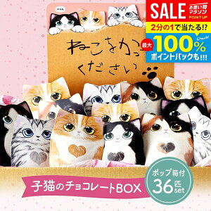 y|bvt 36Zbgz `R v`Mtg xM[ `R[g XC[c Ε Mtg Zbg Ԃ ~Mtg  RtVg L 4  َq lߍ킹  2