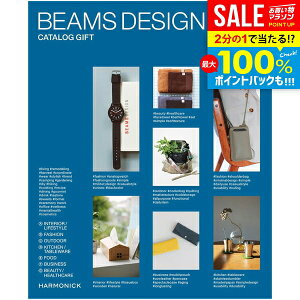 _őSz|CgҌ^ J^OMtg BEAMS DESIGN Sky r[X fUC XJC  j Ԃ  5000~ Ε Mtg ~Mtg oYj oYj j j