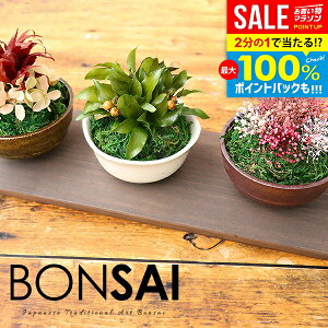 _őSz|CgҌ^y͂ȂvU~́EpgCtz ~ Ε Mtg a v[g ͂Ȃ~j~3_Zbg vU[uh vU  ۋ ~ a 