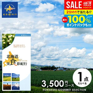 _őSz|CgҌ^ J^OMtg j Ԃ  O  kC HʋIs  3500~R[X (047-97) Ε Mtg  OJ^OMtg oYj 