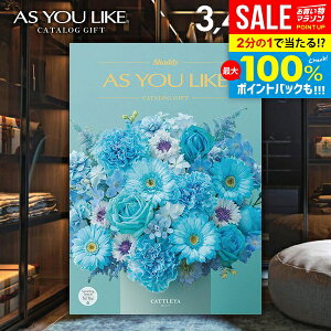 _őSz|CgҌ^ J^OMtg j Ԃ  VfB AY[CN m JgA 3400~R[X Ε Mtg  ~Mtg oYj j Vzj 