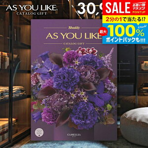 _őSz|CgҌ^ J^OMtg j Ԃ  VfB AY[CN m JA 30900~R[X Ε Mtg  ~Mtg oYj j j Vz