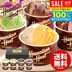 _őSz|CgҌ^ ACXN[ XC[c Ε Mtg j Ԃ  nCAz[Xg }J_~Aibc`RACX 8 AH-HS j oYj Vzj 