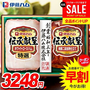 Ε Ε   n Mtg Zbg [Xn ē ubN lߍ킹 ɓn ` Ε ~Mtg Hi Hו  O IGM-300