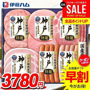 Ε Ε   n Mtg Zbg [Xn ECi[ \[Z[W lߍ킹 ɓn _ Ε ~Mtg Hi Hו  O IKE-301