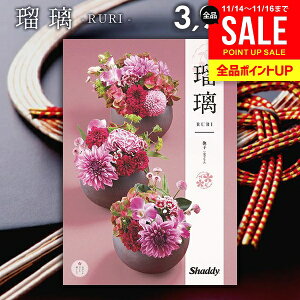 J^OMtg j Ԃ  VfB AY[CN a q(Ȃł) 3900~R[X Ε Mtg  oYj j j oYj oYj o 