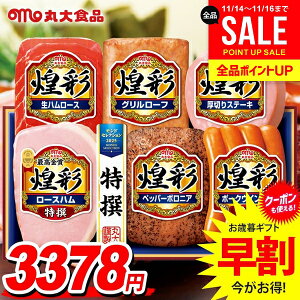 Ε Ε   n Mtg Zbg [Xn ECi[ \[Z[W lߍ킹 ۑHi ۑn  Ε ~Mtg Hi Hו  O MV-466T