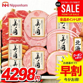 お歳暮 御歳暮 送料無料 早割 ハム ギフト セット ロースハム ウインナー ソーセージ 生ハム 詰め合わせ 日本ハム ニッポンハム 美ノ国 北海道 プレミアム 歳暮 冬ギフト 食品 食べ物 お取り寄せ グルメ 美の国 美しの国 UKH-48
