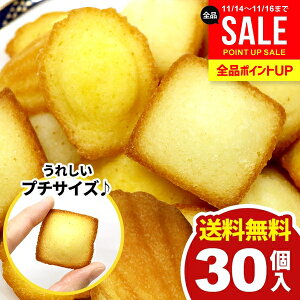 y[ցz  XC[c Mtg َq mَq Ăَq v` tBiVF }h[k 2 v30 Zbg lߍ킹  󂠂 e 1000~ |Cg p ЂƂTC