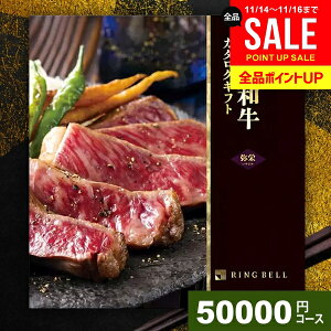 Ε J^OMtg j Ԃ  ㋍ _ˋ  O Mtg  Iׂv~AYaJ^O h ₳ 50000~R[X x OJ^O j 