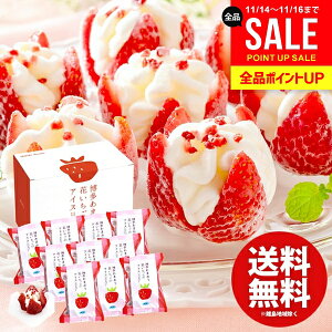 ACXN[ XC[c Ε Mtg j Ԃ  َq ܂ Ԃ̃ACX 10 Zbg lߍ킹 ~Mtg oYj j j oYj T