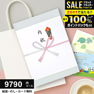 _P10{ȏ!!^ J^OMtg 9790~R[X (8900~)  Ε O Mtg lC j Ԃ ~Mtg oY  TԂ Vz C AE j 蕨ɍœKȃMtgJ