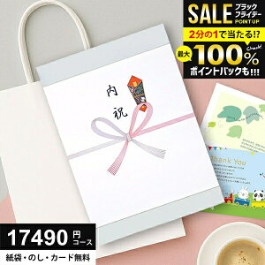 _P10{ȏ!!^ J^OMtg 17490~R[X (15900~)  Ε O Mtg lC j Ԃ ~Mtg oY  TԂ Vz C AE j 蕨ɍœKȃMtg