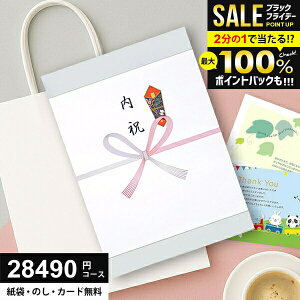 _P8{ȏ!!^ J^OMtg 28490~R[X (25900~)  Ε O Mtg lC j Ԃ ~Mtg oY  TԂ Vz C AE j 蕨ɍœKȃMtg