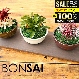 _őSz|CgҌ^y͂ȂvU~́EpgCtz ~ Ε Mtg a v[g ͂Ȃ~j~3_Zbg vU[uh vU  ۋ ~ a 