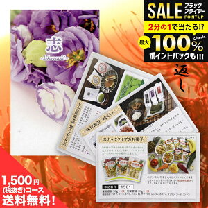 _őSz|CgҌ^y[ ̂EszTԂ  J^OMtg  1500~R[X i~jTCYj