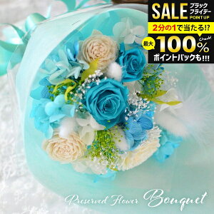 _őSz|CgҌ^ vU[uht[ u[P u[ ԗ hanakoi LO a j Mtg  ԑ vU AWg  킢 lC KN [Y o Ϗܗp C