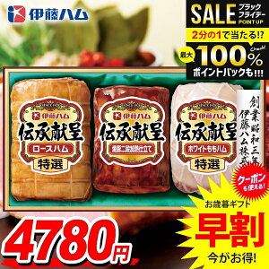 _őSz|CgҌ^ Ε Ε   n Mtg Zbg [Xn n ē lߍ킹 ɓn ` Ε ~Mtg Hi Hו  O IGM-508