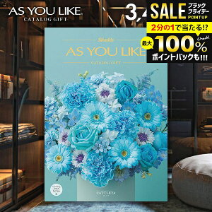 _őSz|CgҌ^ J^OMtg j Ԃ  VfB AY[CN m JgA 3400~R[X Ε Mtg  ~Mtg oYj j Vzj 