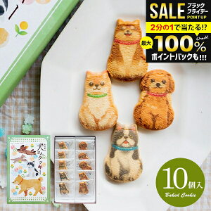 _őSz|CgҌ^ j Ԃ XC[c َq  Ε Mtg v`Mtg Ăَq lߍ킹 񌢂NbL[ 10  Aj} 킢  Hi