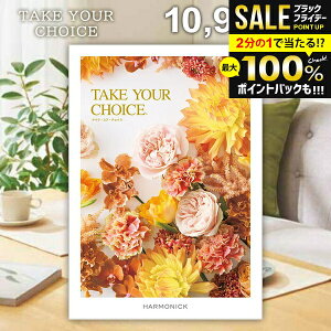 _őSz|CgҌ^ J^OMtg j Ԃ  n[jbN eCNA`CX J~A 10900~R[X Ε Mtg  OJ^OMtg oYj j