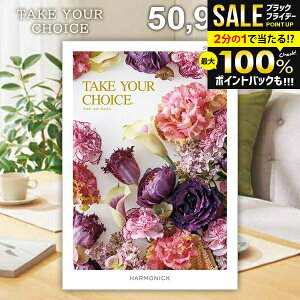 _őSz|CgҌ^ J^OMtg j Ԃ  n[jbN eCNA`CX WRrjA 50900~R[X Ε Mtg  OJ^OMtg ~Mtg o