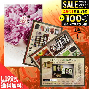 _őSz|CgҌ^y[ ̂EszTԂ  J^OMtg g 1100~R[X i~jTCYj