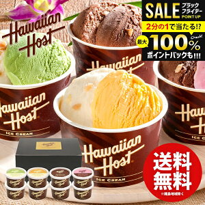 ACXN[ XC[c Ε Mtg j Ԃ  nCAz[Xg }J_~Aibc`RACX 8 AH-HS j ~Mtg oYj Vzj Cj lC 