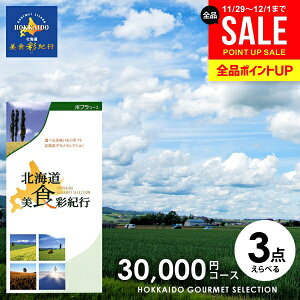 J^OMtg j Ԃ  O kC HʋIs |v 30000~R[X (048-14) Ε Mtg  OJ^OMtg oYj j j Vzj j