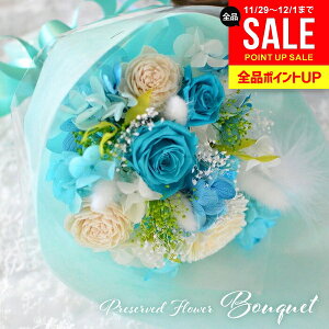 vU[uht[ u[P u[ ԗ hanakoi LO a j Mtg  ԑ vU AWg  킢 lC KN [Y o Ϗܗp CeA eBt@j[u