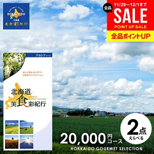 J^OMtg j Ԃ  O kC HʋIs AJVA 20000~R[X (048-11) Ε Mtg  OJ^OMtg ~Mtg oYj j j o