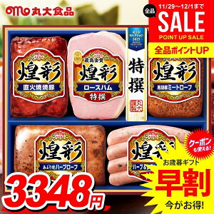 Ε Ε   n Mtg Zbg [Xn ECi[ \[Z[W lߍ킹 ۑHi ۑn  Ε ~Mtg Hi Hו  O MV-495