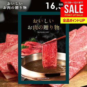 J^OMtg j Ԃ  O  a ㋍   n[jbN 16500~R[X Ε Mtg OJ^O ̑蕨 HML wj ~Mtg oY