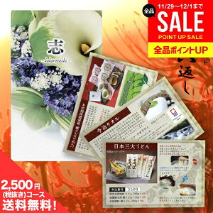 y[ ̂EszTԂ  J^OMtg ڗ 2500~R[X i~jTCYj