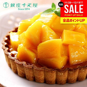 j Ԃ ~Mtg  D 񂹃XC[c  XC[c Ε Mtg Zbg ^g (}S[) PGS-053  oY Cj j Vzj z z 