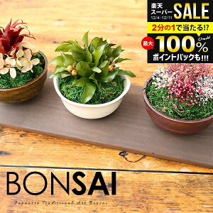 y͂ȂvU~́EpgCtz ~ Ε Mtg a v[g ͂Ȃ~j~3_Zbg vU[uh vU  ۋ ~ a ݂ ȒP {TC C