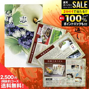 _őSz|CgҌ^y[ ̂EszTԂ  J^OMtg ڗ 2500~R[X i~jTCYj