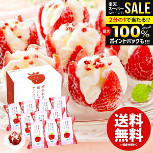 ACXN[ XC[c Ε Mtg j Ԃ  َq ܂ Ԃ̃ACX 10 Zbg lߍ킹 ~Mtg oYj j j oYj T