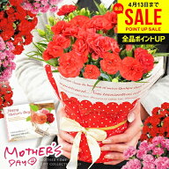 ＼今だけポイントUP＆クーポン／ 早割 母の日 ギフト 2026 カーネーション 花 プレゼント 送料無料 4号鉢…