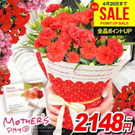 ＼今だけ★P10倍＆クーポン／ 早割 母の日 ギフト 2026 カーネーション 花 プレゼント 送料無料 4号鉢 鉢植え お花 猫 お菓子 セット 鉢花 花鉢 人気 ランキング おしゃれ かわいい 割引 安い 母の日ギフト2026