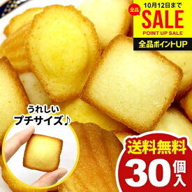 【メール便】 送料無料 スイーツ お菓子 洋菓子 焼き菓子 プチ フィナンシェ マドレーヌ 2種 計30個 セット 詰め合わせ 個包装 訳あり 大容量 1000円 ポイント消化 お徳用 ひとくちサイズ おやつ デザート パーティー 粗品 食品 食べ物 【のし・包装不可】 (あす楽)