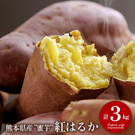 内祝い お返し 送料無料 さつまいも 野菜 ギフト 詰め合わせ 徳用 蜜芋 紅はるか 3kg セット お取り寄せ 出産内祝い 新築祝い 結婚内祝い 引き出物 香典返し 快気祝い お祝い返し 引越し 挨拶 お礼 父の日 プレゼント 父の日ギフト メーカー直送 【代引不可】 YI-50 冷凍便