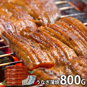 _Gg[łP5{^ j Ԃ  y CN Mtg lߍ킹 Y Ȃ 800g Zbg  oYj Vzj j o TԂ Cj j