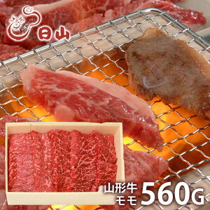 _őSz|CgҌ^ j Ԃ   a Ε Mtg   l` R R`  ēp 560g Y Zbg lߍ킹 Ⓚ ~Mtg oYj 