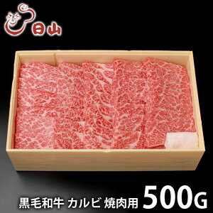 _őSz|CgҌ^ j Ԃ   a Ε Mtg   l` R јa Jr ē 500g Y Zbg lߍ킹 ~Mtg oYj j 